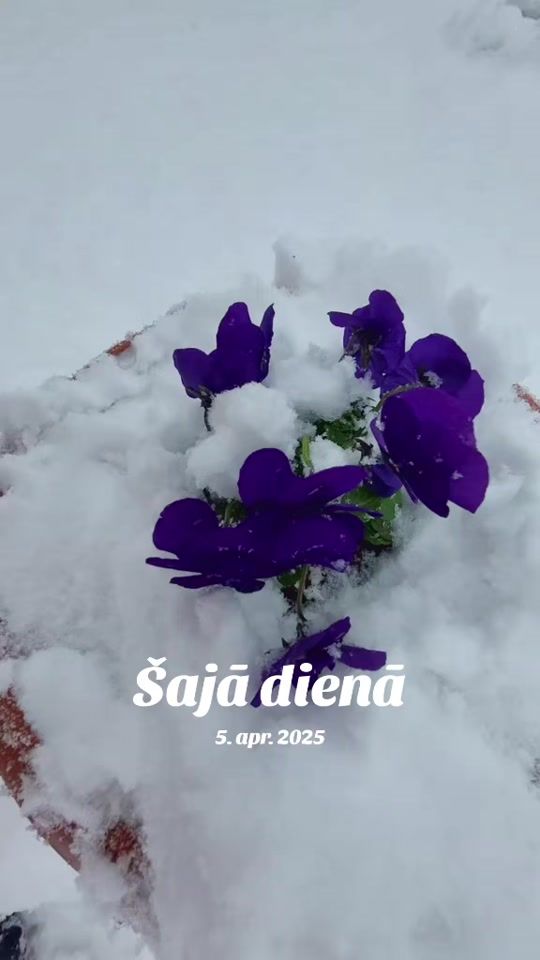 TikTok video thumbnail by irinatamma