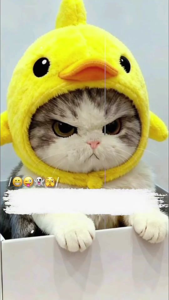 TikTok video thumbnail by aliii3941