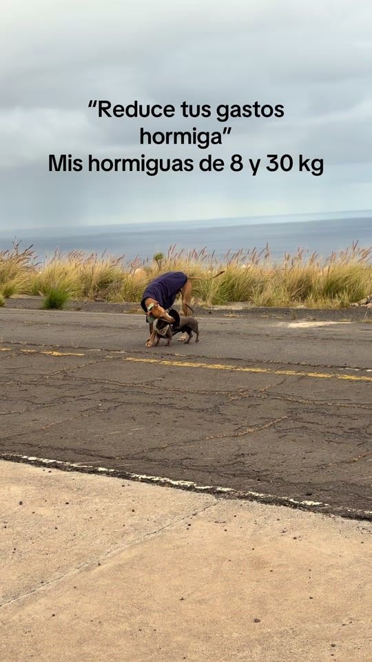 TikTok video thumbnail by aglorenzo95