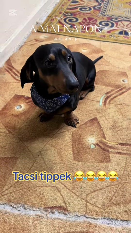 TikTok video thumbnail by devilgirl0126