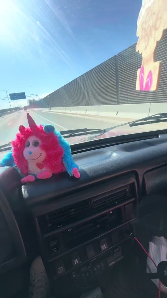 TikTok video thumbnail by lvcarlady