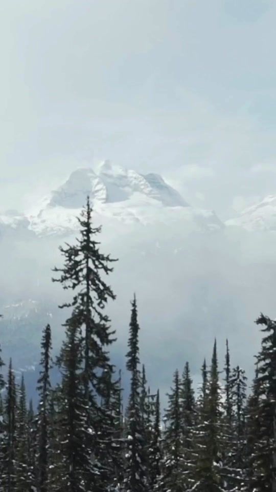 TikTok video thumbnail by snowminds