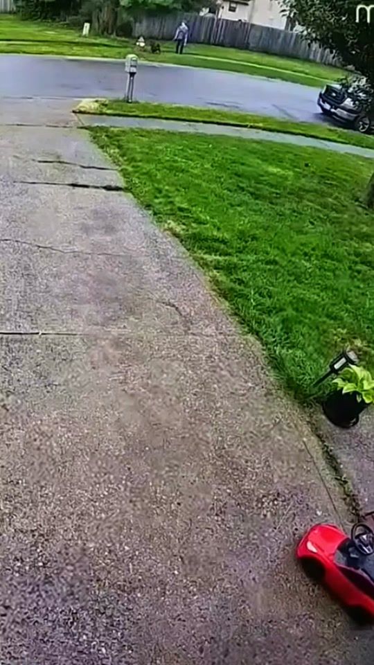 TikTok video thumbnail by funny.animals4855