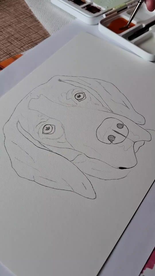 TikTok video thumbnail by pikavitez