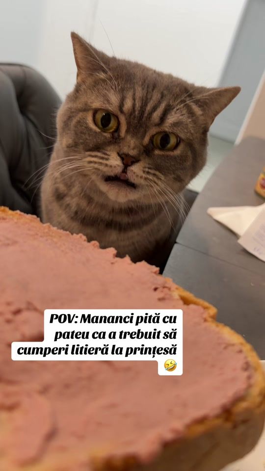 TikTok video thumbnail by diananemes1