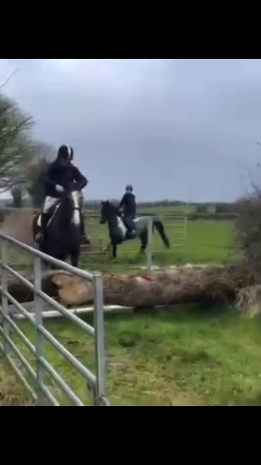 TikTok video thumbnail by cobythehorse