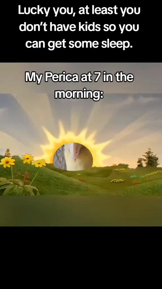 TikTok video thumbnail by pero_pavarotti