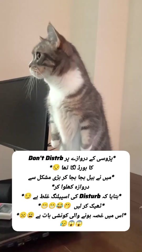 TikTok video thumbnail by gem__94