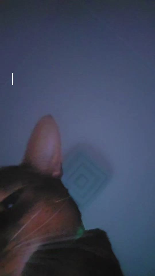 TikTok video thumbnail by evita.rita