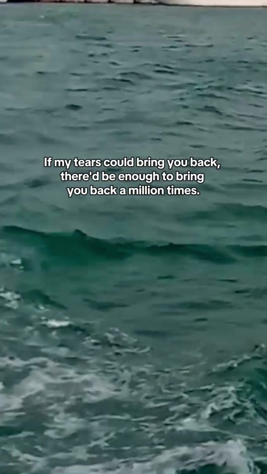 TikTok video thumbnail by sibling.loss8