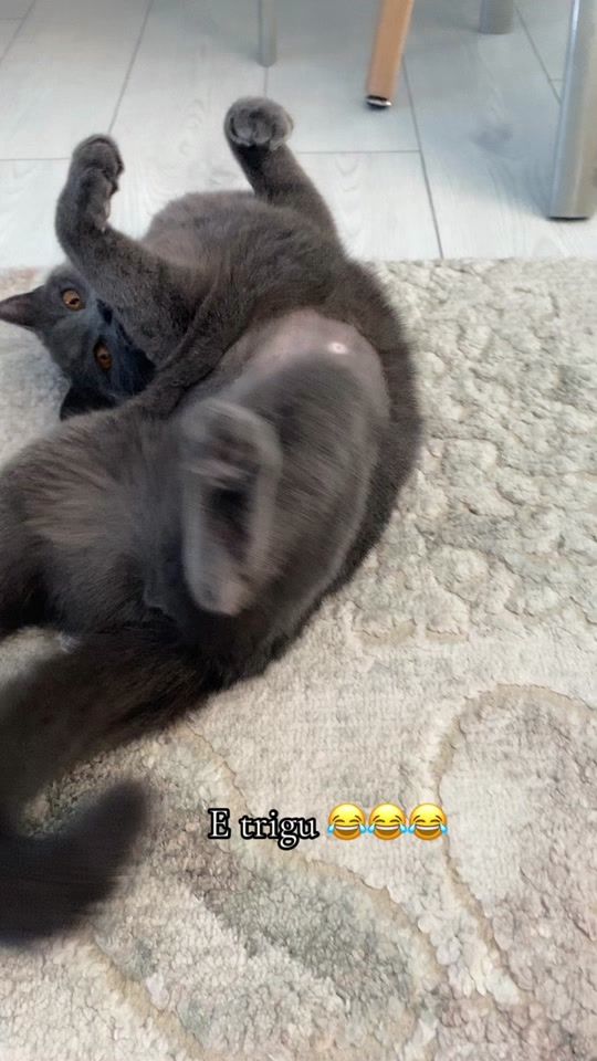 TikTok video thumbnail by nicoleta_zana