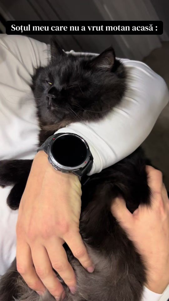 TikTok video thumbnail by elena__clipca