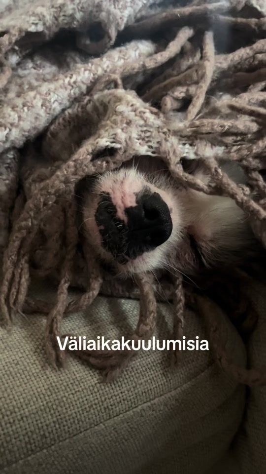TikTok video thumbnail by repekoukku