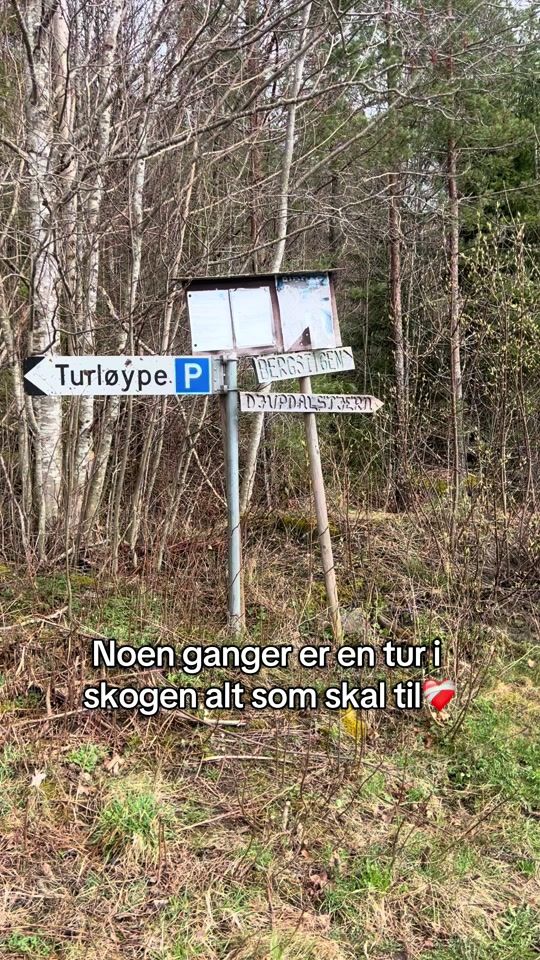 TikTok video thumbnail by theasophix