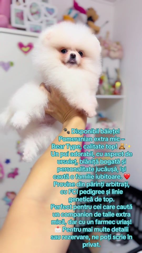 TikTok video thumbnail by pomeranian.glamour