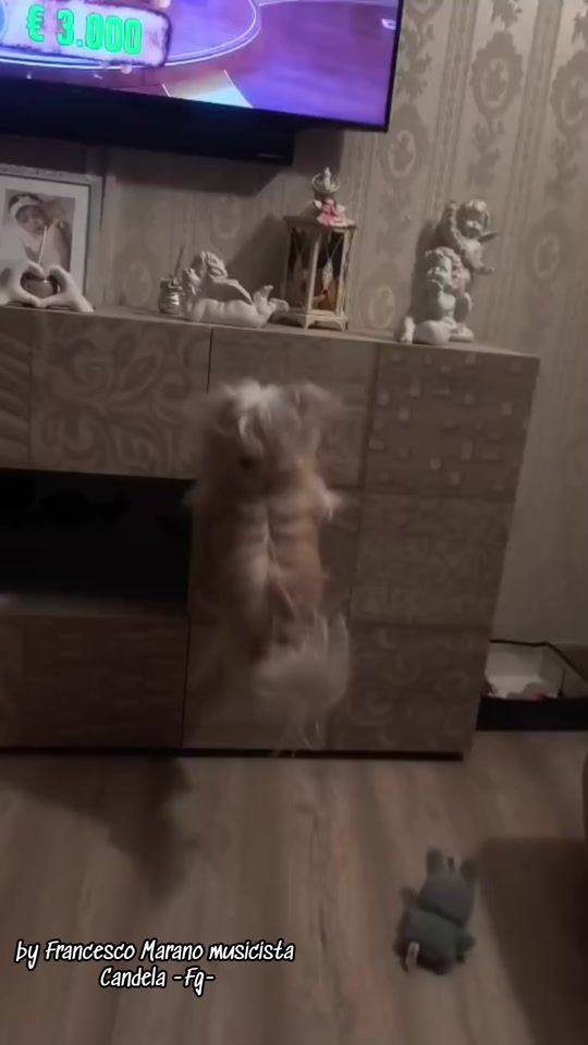 TikTok video thumbnail by francescomarano2022