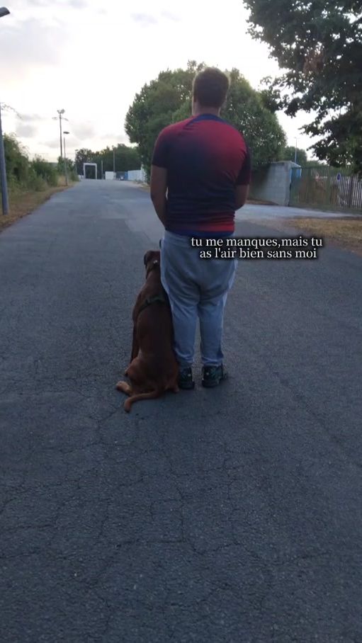 TikTok video thumbnail by illanktm01