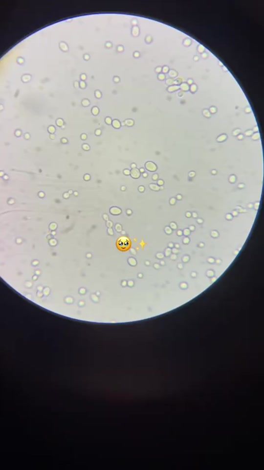 TikTok video thumbnail by biologiste.modest