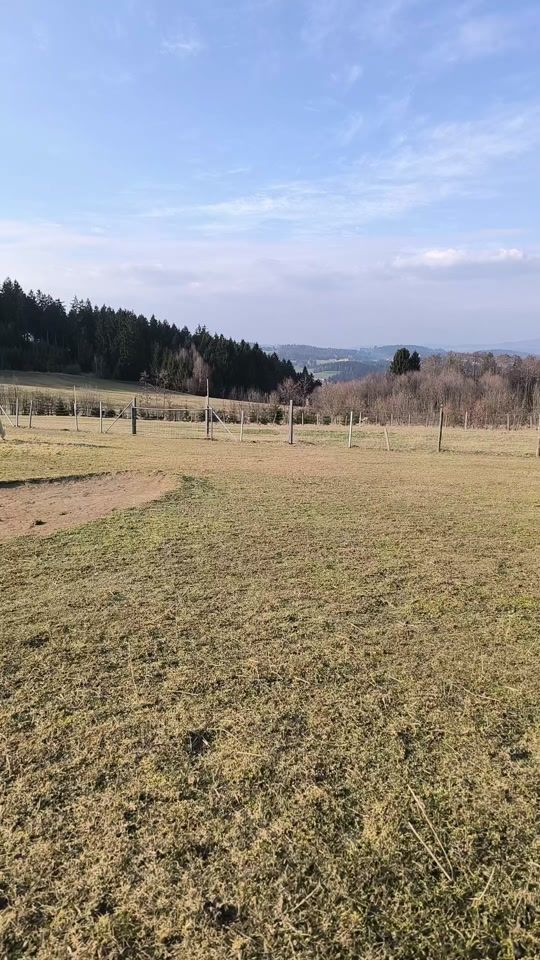 TikTok video thumbnail by alpaca_mba