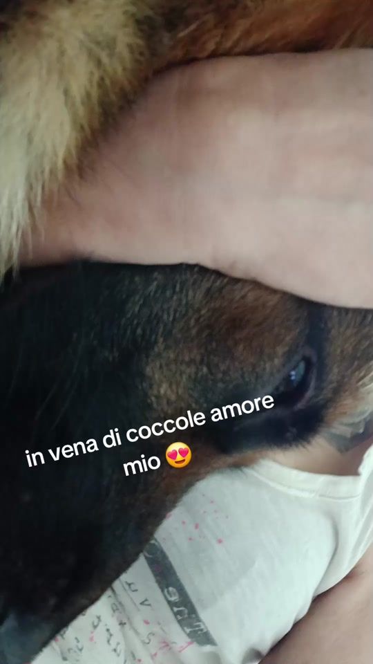 TikTok video thumbnail by stefyearon3