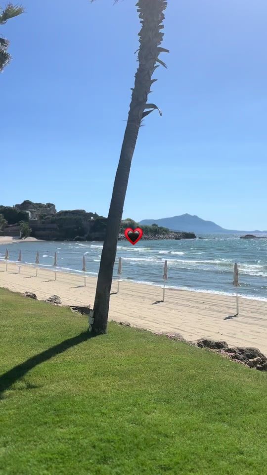 TikTok video thumbnail by amonapoli_
