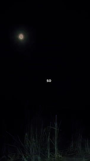 TikTok video thumbnail by wh1te.ber9y