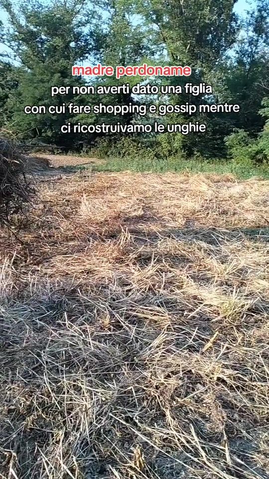 TikTok video thumbnail by ila_ridolfi8