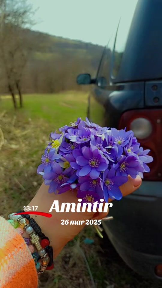 TikTok video thumbnail by floridumi