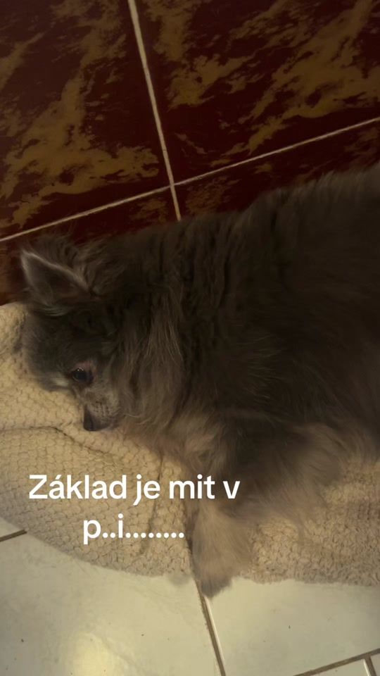 TikTok video thumbnail by hedus432