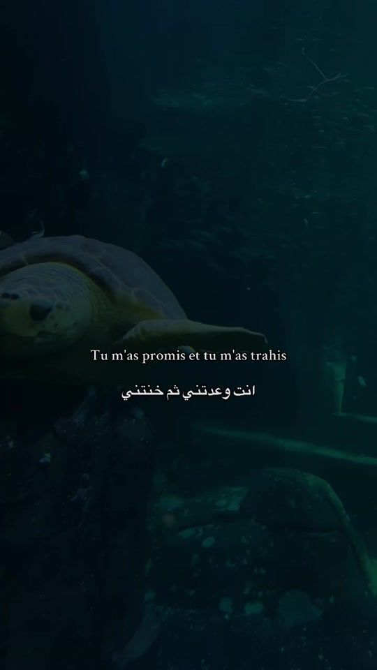 TikTok video thumbnail by sabr__