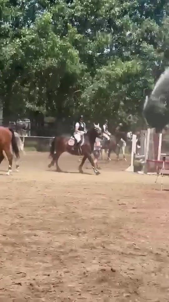 TikTok video thumbnail by csenge.okanyi