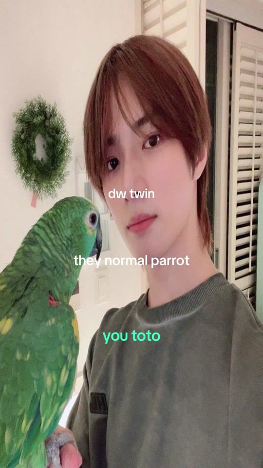 TikTok video thumbnail by ggumblunt