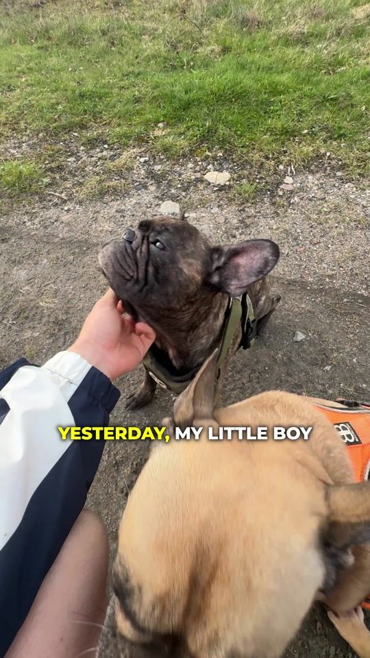 TikTok video thumbnail by thebattersby