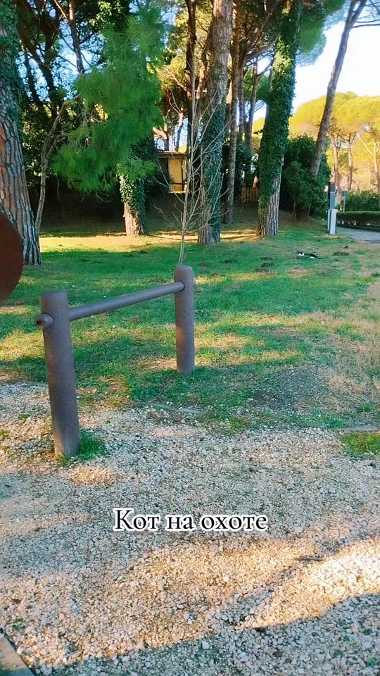 TikTok video thumbnail by irinas.tiktok