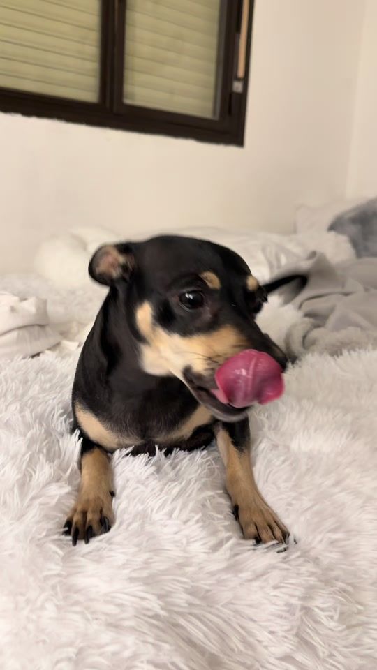 TikTok video thumbnail by vaaleriia03