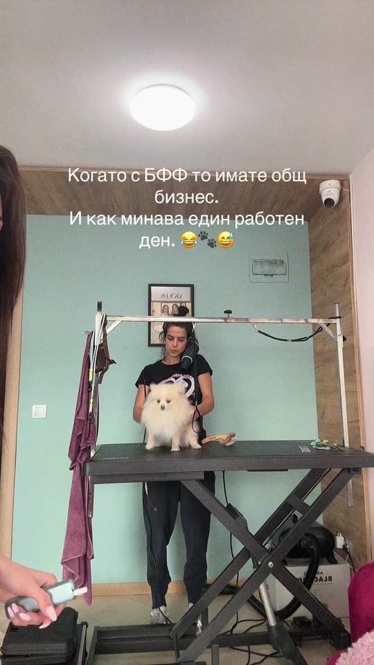 TikTok video thumbnail by vaya_amusic