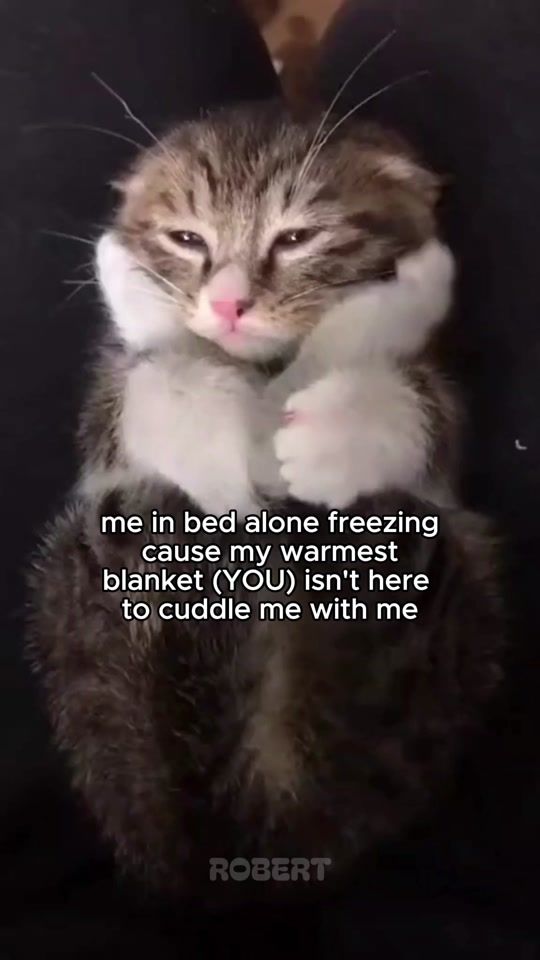TikTok video thumbnail by robertanimals