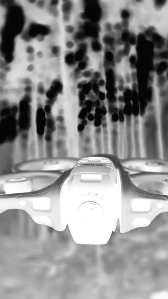 TikTok video thumbnail by davidzamut
