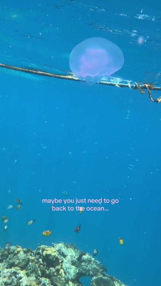 TikTok video thumbnail by m1a.n0ra