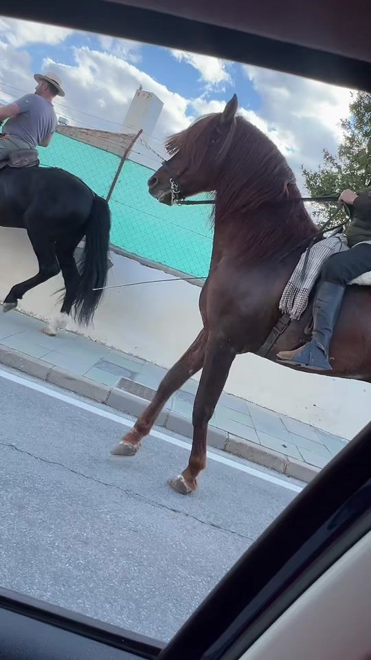 TikTok video thumbnail by gipsy_heredia_777