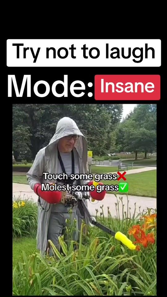 TikTok video thumbnail by dailymemes111