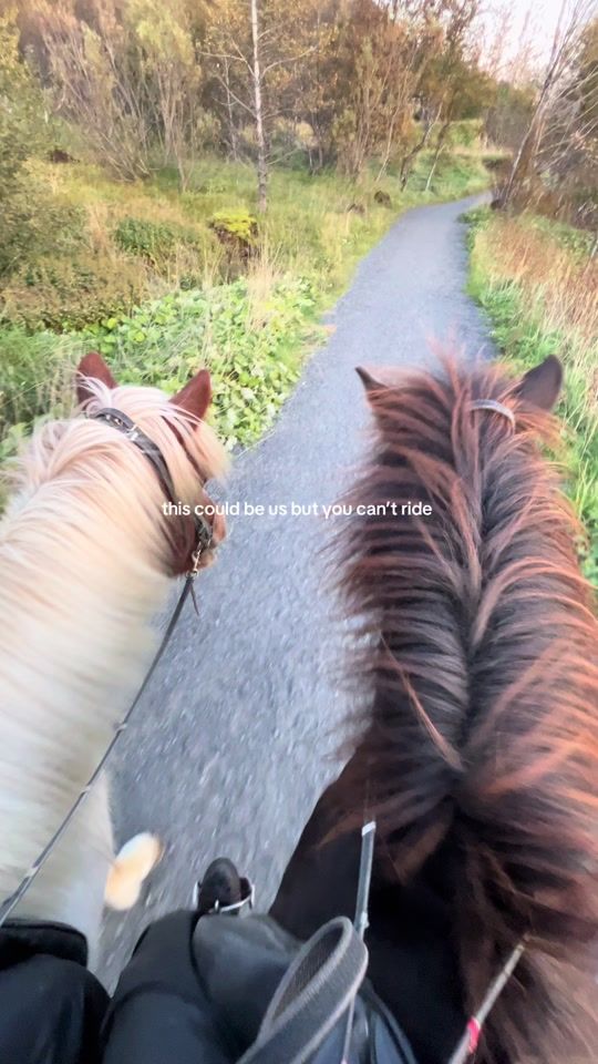 TikTok video thumbnail by karoinsaddle