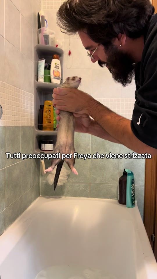 TikTok video thumbnail by vitadafuretti