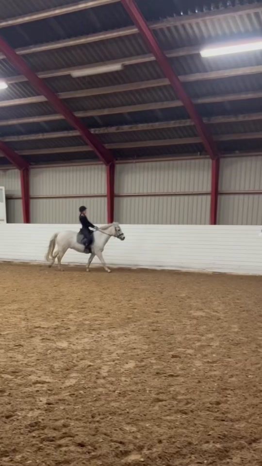 TikTok video thumbnail by e._.equestrian_