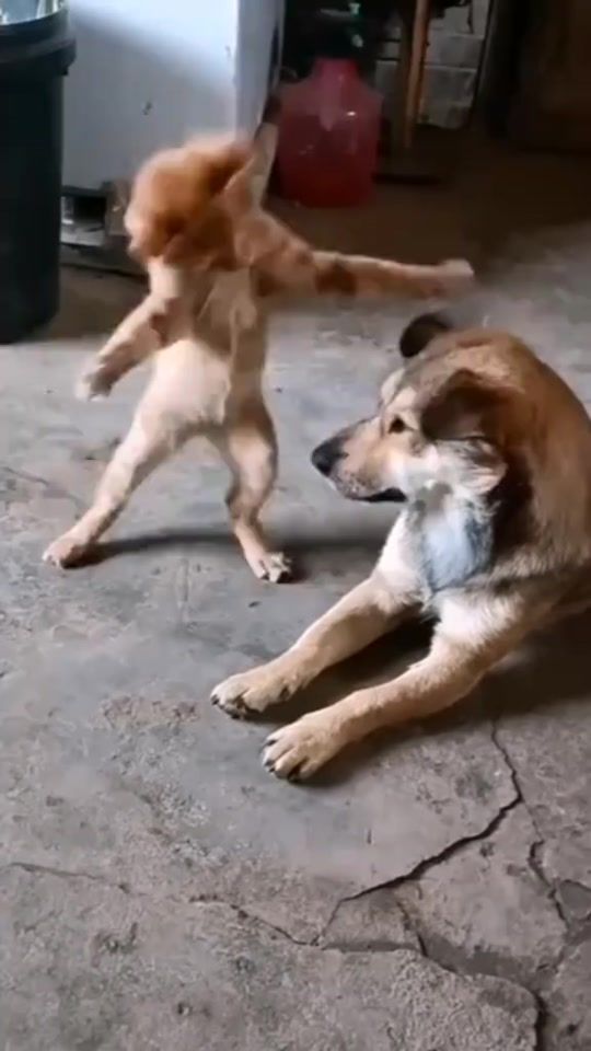 TikTok video thumbnail by funj44