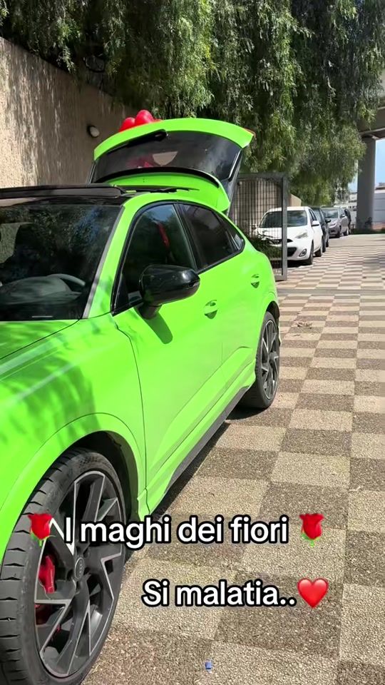 TikTok video thumbnail by .imaghideifiori