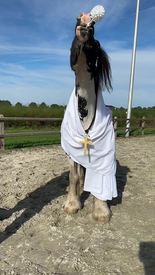 TikTok video thumbnail by tinkerzorro