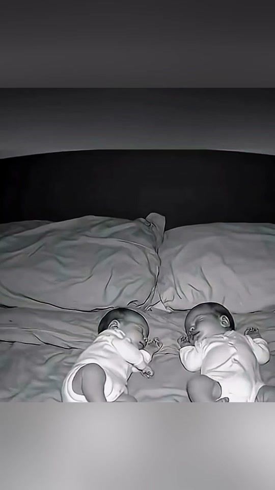 TikTok video thumbnail by funny.animals4855