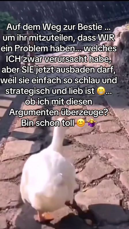 TikTok video thumbnail by undercover_2003_