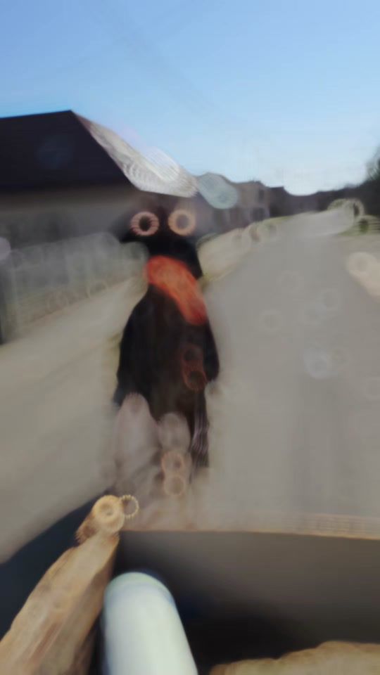 TikTok video thumbnail by milan_dula_buka